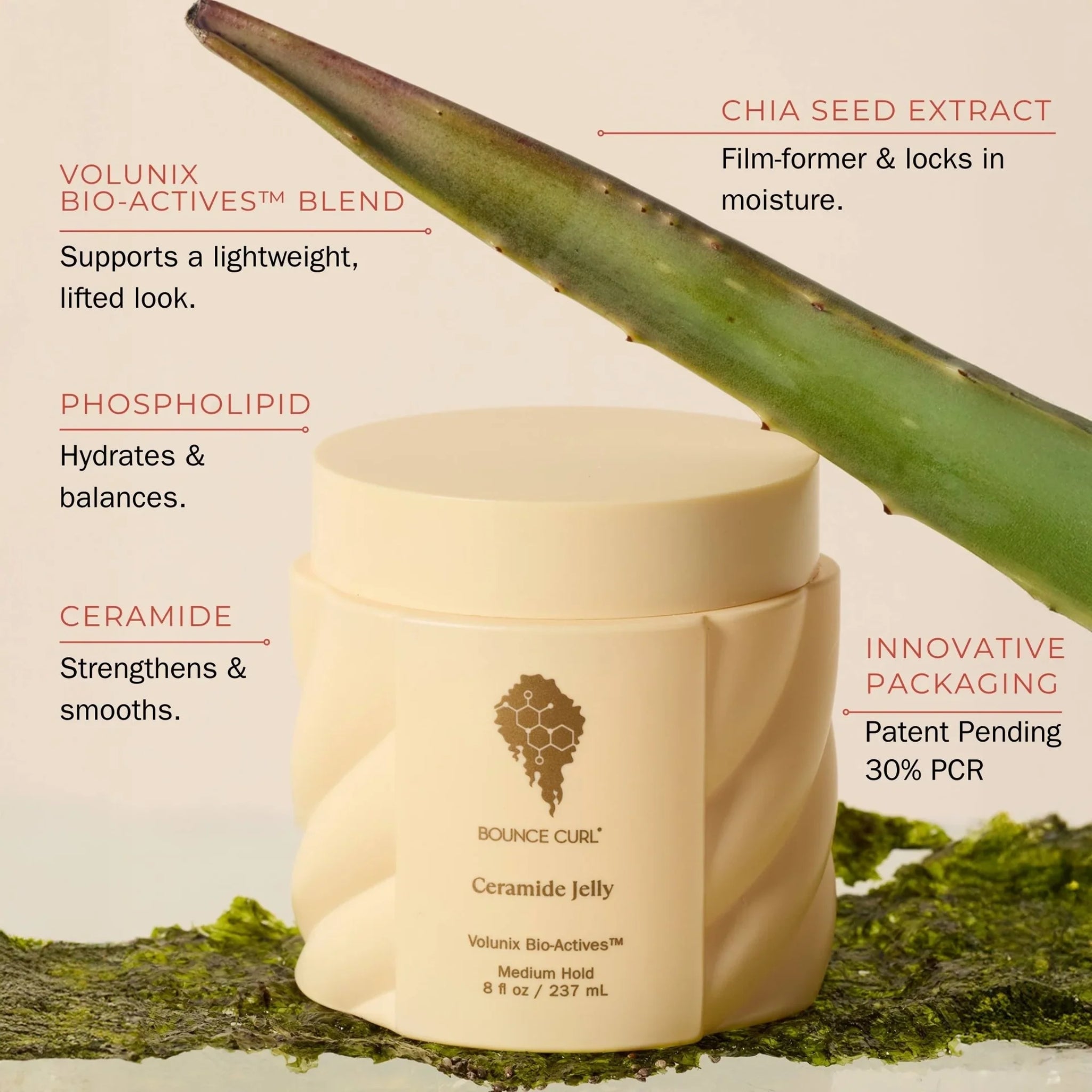 Bounce Curl Ceramide Jelly hårprodukt i cremefarvede beholder med ingrediensoversigt, omgivet af grønt blad og moss på beige baggrund.