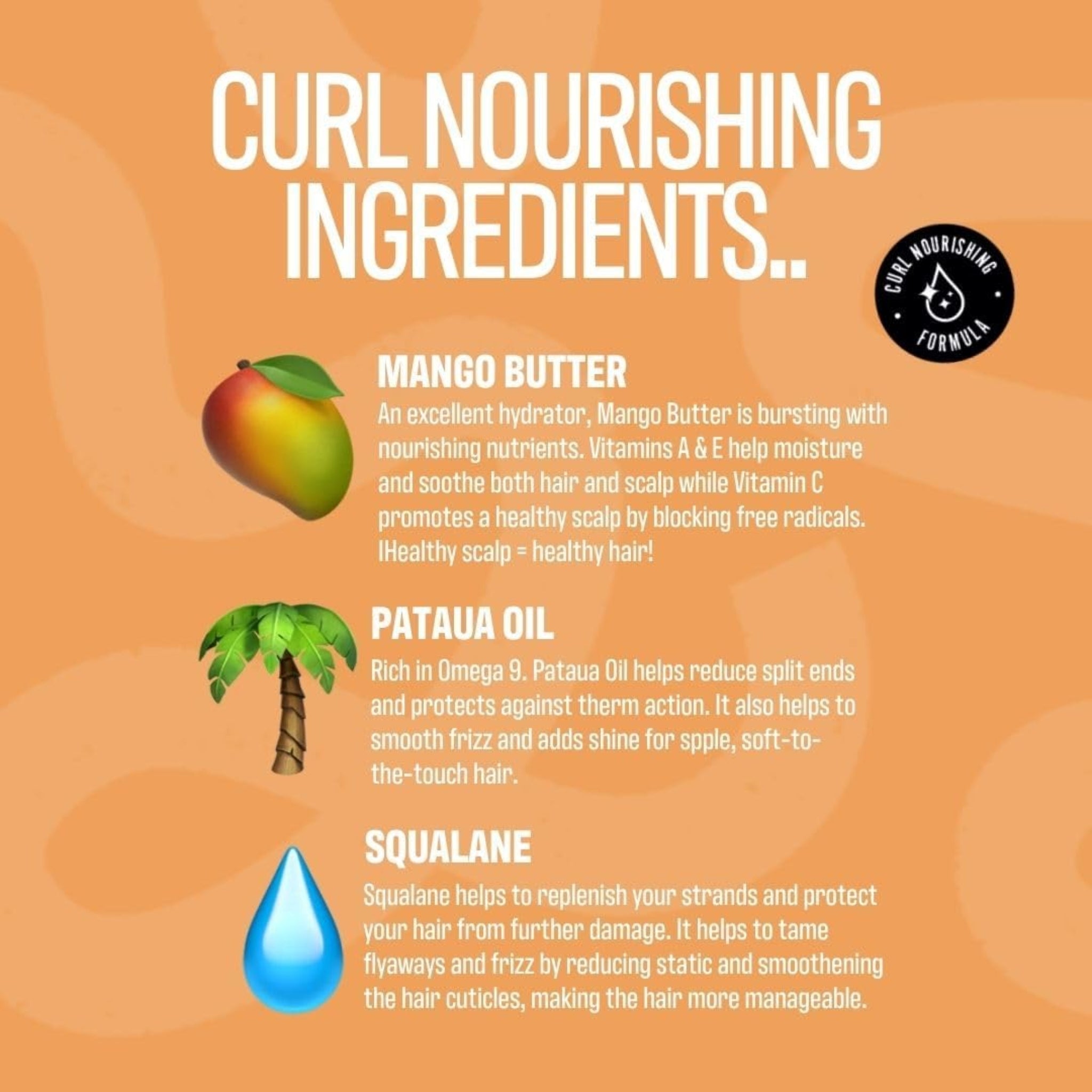 Curl Nourishing Ingredients: mango, palmetræ og vanddråbe illustrerer mangosmør, pataua-olie og squalan til hårpleje.